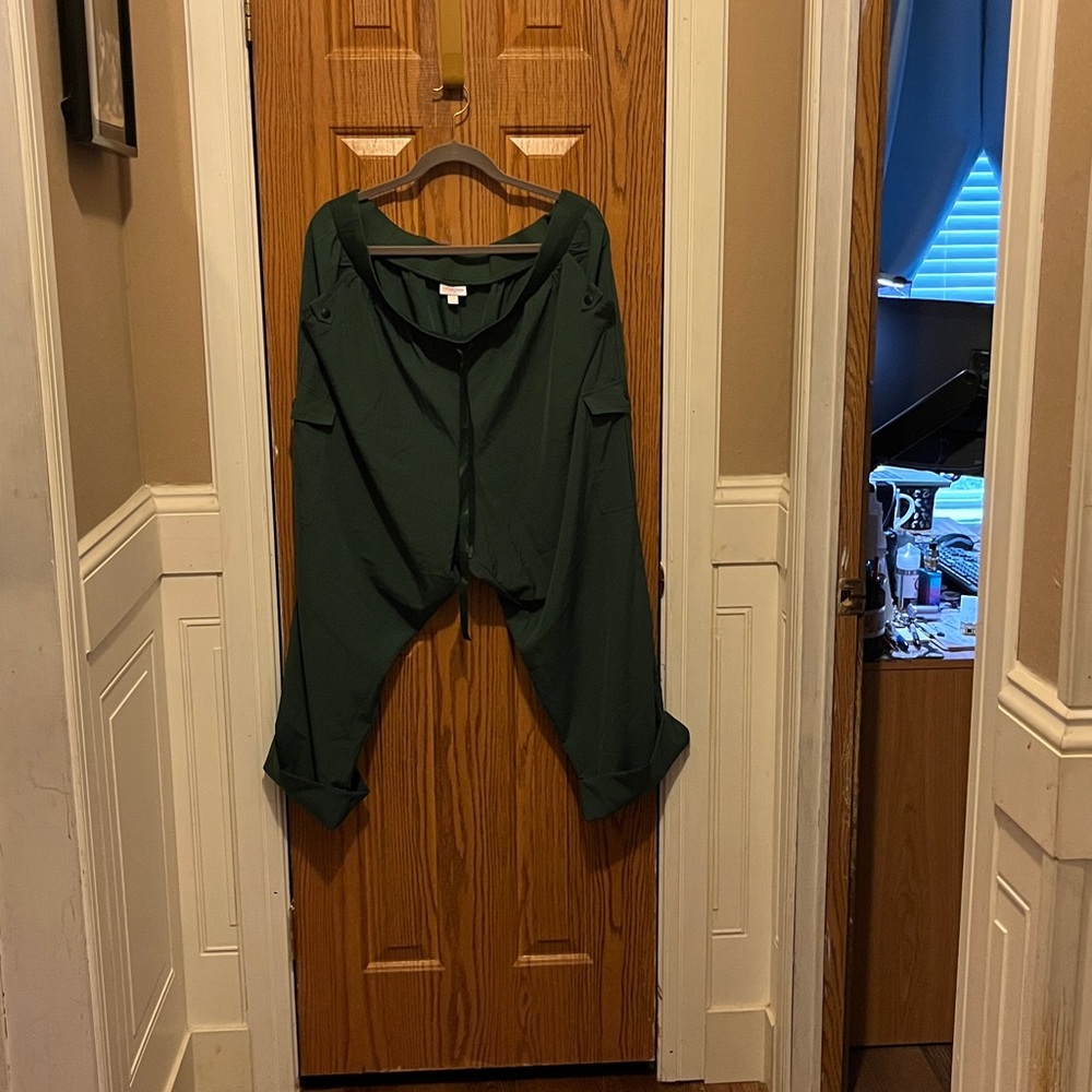 LuLaRoe Sawyer Forest Green Pants